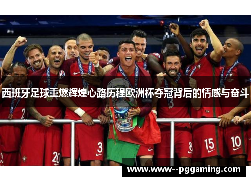 西班牙足球重燃辉煌心路历程欧洲杯夺冠背后的情感与奋斗