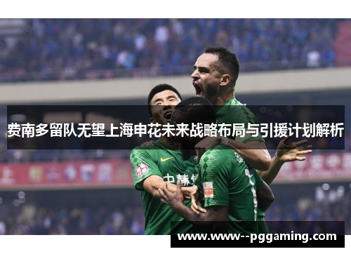 费南多留队无望上海申花未来战略布局与引援计划解析